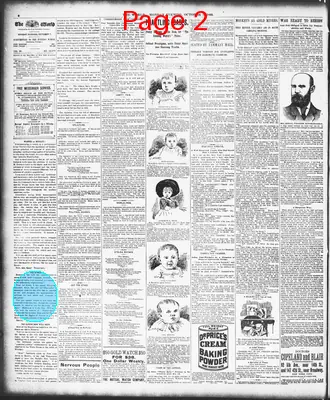 Page thumbnail for The Evening World