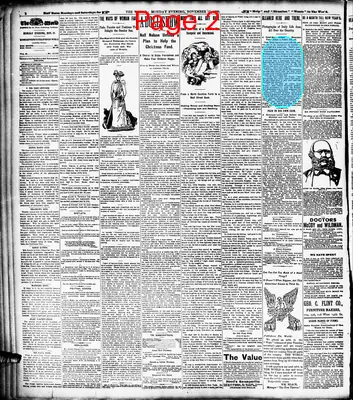 Page thumbnail for The Evening World