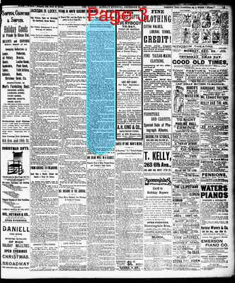 Page thumbnail for The Evening World