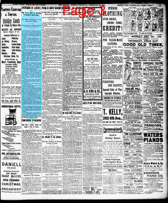 Page thumbnail for The Evening World