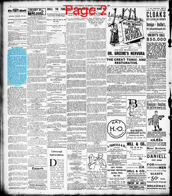 Page thumbnail for The Evening World