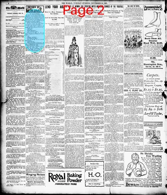 Page thumbnail for The Evening World