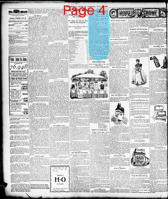 Page thumbnail for The Evening World
