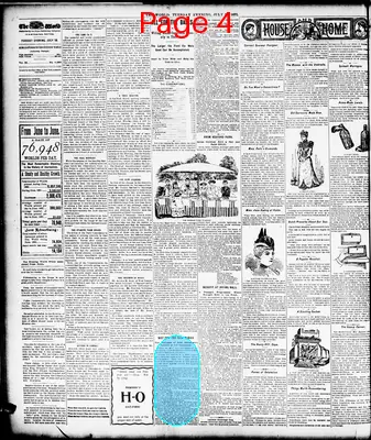 Page thumbnail for The Evening World
