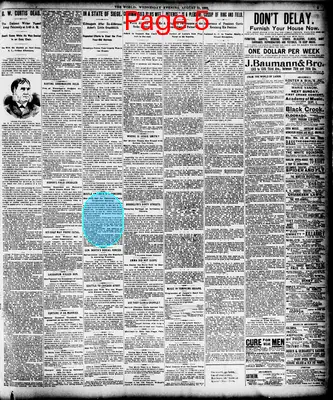 Page thumbnail for The Evening World