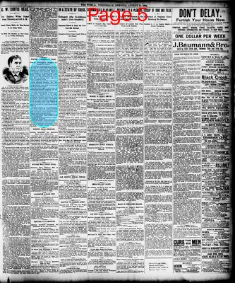 Page thumbnail for The Evening World