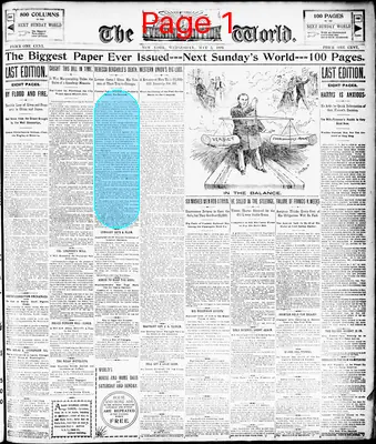 Page thumbnail for The Evening World