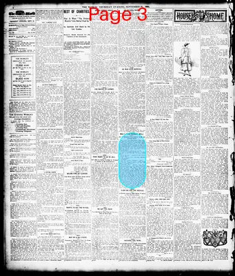 Page thumbnail for The Evening World