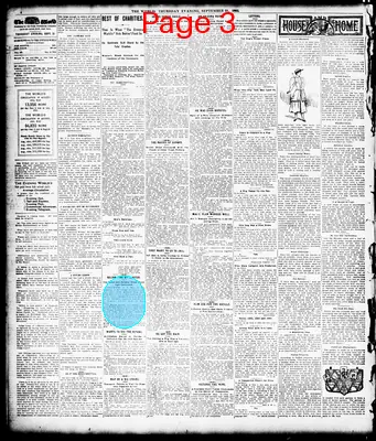Page thumbnail for The Evening World