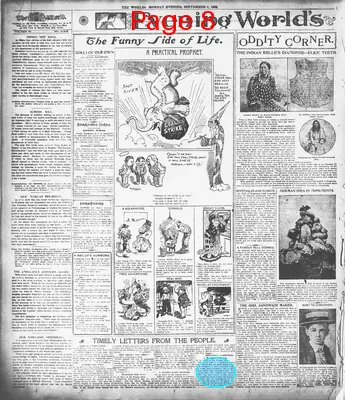 Page thumbnail for The Evening World