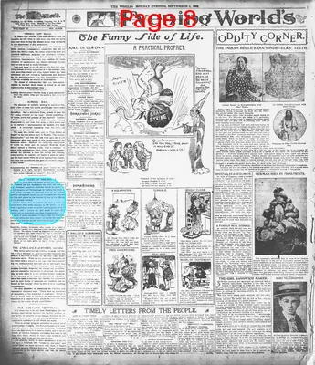 Page thumbnail for The Evening World