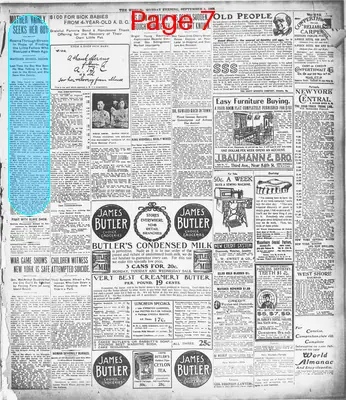 Page thumbnail for The Evening World