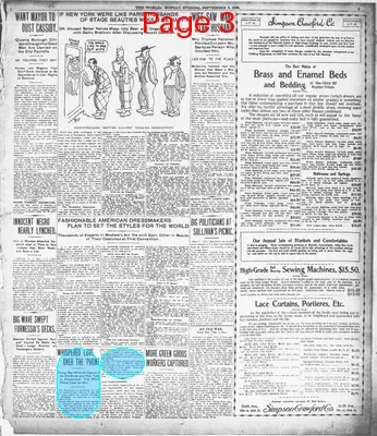 Page thumbnail for The Evening World
