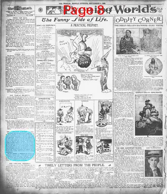 Page thumbnail for The Evening World