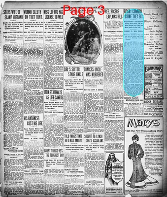 Page thumbnail for The Evening World