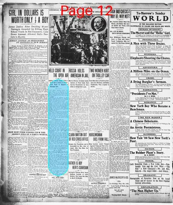 Page thumbnail for The Evening World