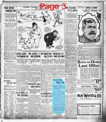 Page thumbnail for The Evening World