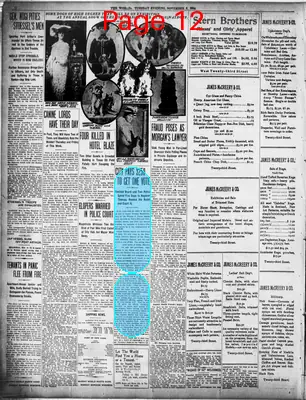 Page thumbnail for The Evening World