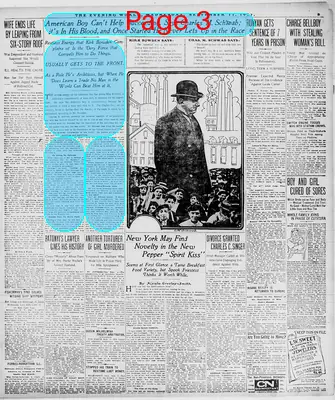 Page thumbnail for The Evening World