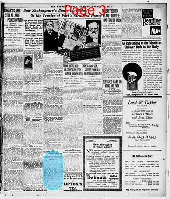 Page thumbnail for The Evening World