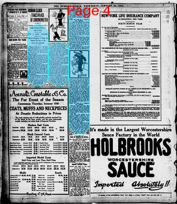 Page thumbnail for The Evening World