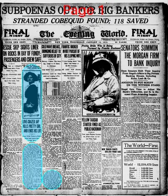 Page thumbnail for The Evening World