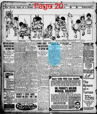 Page thumbnail for The Evening World