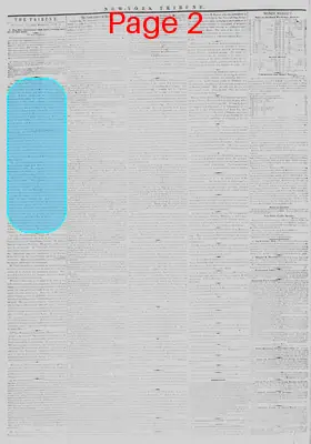 Page thumbnail for New York Tribune