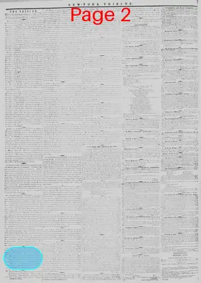 Page thumbnail for New York Tribune