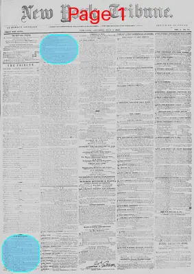 Page thumbnail for New York Tribune