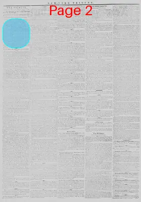 Page thumbnail for New York Tribune