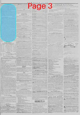Page thumbnail for New York Tribune