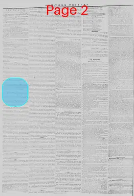Page thumbnail for New York Tribune