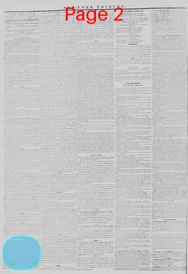 Page thumbnail for New York Tribune