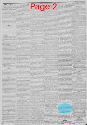 Page thumbnail for New York Tribune