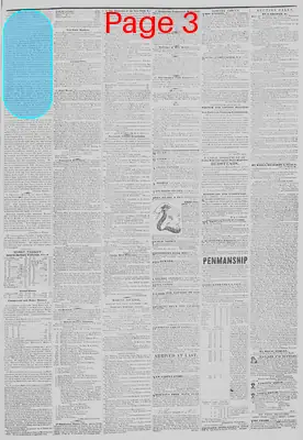 Page thumbnail for New York Tribune