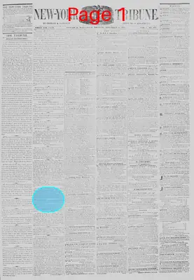 Page thumbnail for New York Tribune