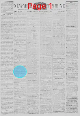 Page thumbnail for New York Tribune