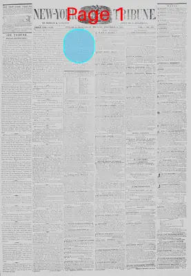 Page thumbnail for New York Tribune