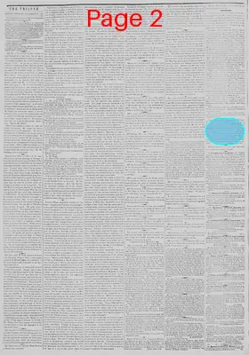 Page thumbnail for New York Tribune