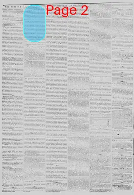 Page thumbnail for New York Tribune