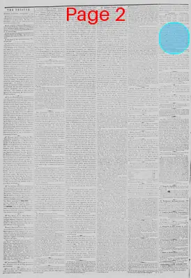 Page thumbnail for New York Tribune