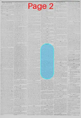 Page thumbnail for New York Tribune
