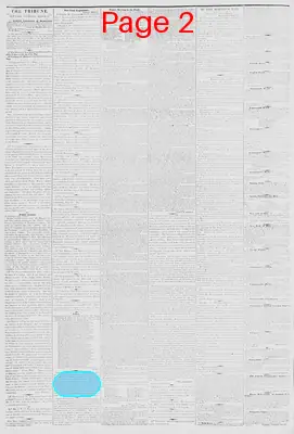 Page thumbnail for New York Tribune