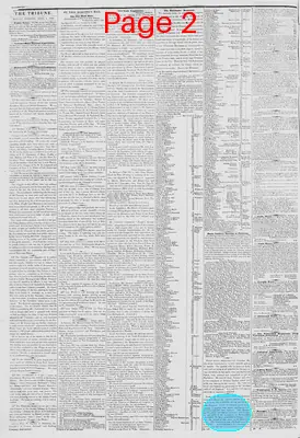Page thumbnail for New York Tribune