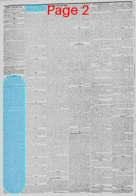Page thumbnail for New York Daily Tribune