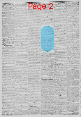 Page thumbnail for New York Daily Tribune