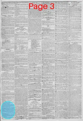 Page thumbnail for New York Daily Tribune