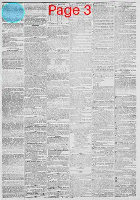 Page thumbnail for New York Daily Tribune