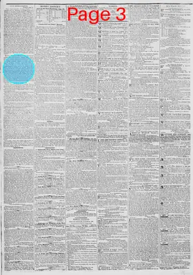 Page thumbnail for New York Daily Tribune
